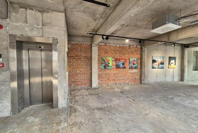 CLADIRE DE INCHIRIAT FLOREASCA - 17