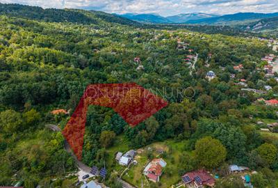 Teren 3.886 mp, Breaza - Podu Vadului, 30 m deschidere la asfalt - 2