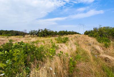 Parcele Teren Extravilan Livada si Pasune Lunca Corbului  Arges - 5