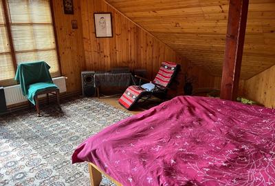 Casa de vacanta in Lepsa - 8