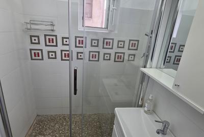 Tineretului Piata Norilor apartament 2 camere - 18