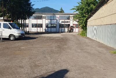 Hala industriala de inchiriat pe Calea Bucuresti folosinta multipla - 7