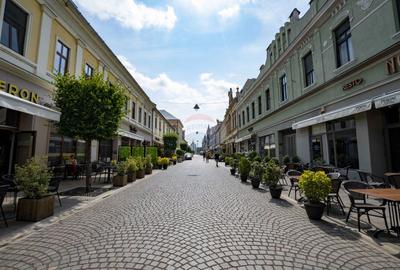 Apartament cu 3 camere de vânzare ultracentral str. Vasile Alecsandri - 13
