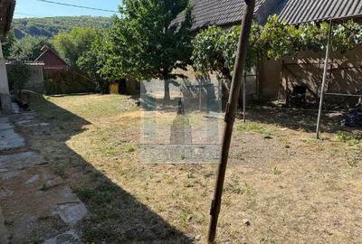 Casa 3 camere, beci ,teren 610 mp + grădină 620 mp-Loc. Cuciulata - 5