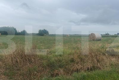 Teren agricol intravilan de 20000 mp, în Hilișeu-Horia