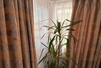 Casă de vânzare în zona Brătianu, Constanța – 3 camere, teren 260 mp - 16