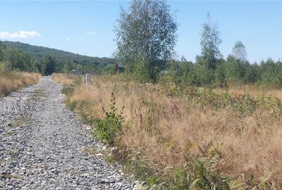 Vanzare parcele de teren 862mp / 1740mp pe Valea Avrigului, Județul Sibiu - 4