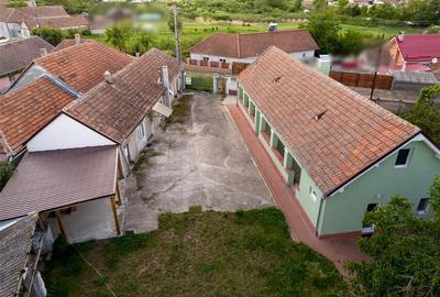 RECO Proprietate cu 2 case si teren mare in Girisu de Cris - 30