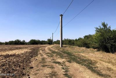Moara Vlasiei - langa Padurea Biglaru, 11.884 mp, deschidere 40 ml - 2