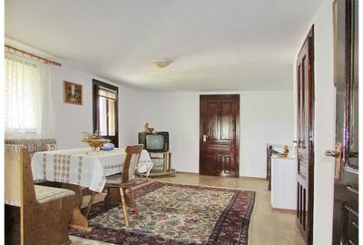 Casa deosebita cu gradina generoasa Vladeni - 13