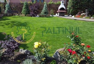 Vila Șelimbăr – 700 mp teren, jacuzzi, semineu, front stradal 30 ml - 1