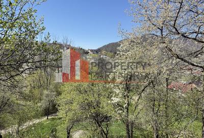 Teren 2500 mp Sohodol - 15