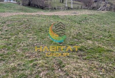 Teren intravilan cu apa/curent  *5€/mp Corbeni-Arges - 5