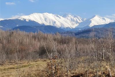 Teren intravilan 2500mp  pe Valea Avrigului,optim casa de vacanta - 14