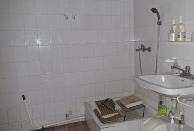 Crangasi - Ceahlăul cu balcon mare  si beci! - 9