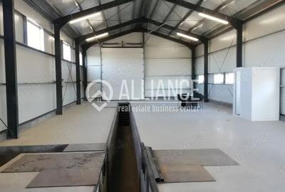 ZONA INDUSTRIALA -  (COD 10) Hala cu teren de inchiriat - 2