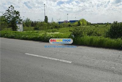 Teren Industrial 3 HECTARE Str Rudeni cu deschidere 50 ML - 4