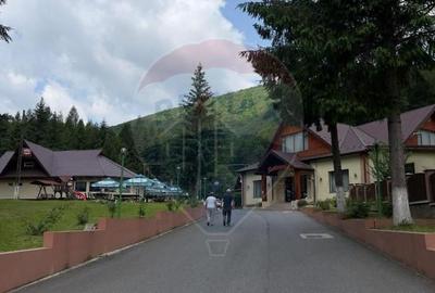 Resort Montan & Oportunitate de Investiție – Poiana Sărată - 9