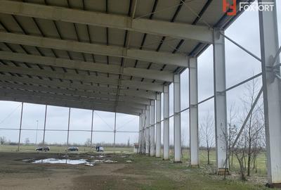 COMISION 0% Hala industriala 5500 mp utili zona de Nord Timisoara - ID V5143 - 8