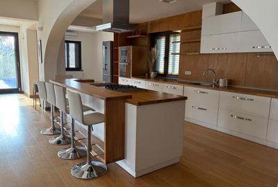 Premium villa for rent - Baneasa - 4