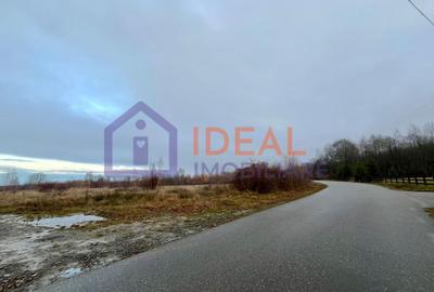 Teren extravilan 6.500 mp â două căi de acces, Cârțișoara - 1