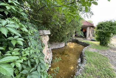 Vilă  cu Vedere si acces  la Lac Snaov–  visul tău din Izvorani - 9