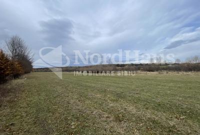 Teren intravilan 4400 mp – Arhitectilor, Sibiu – Oportunitate Dezvoltare - 2