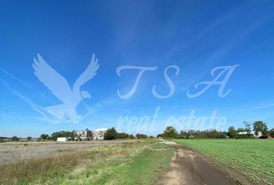 Teren Intravilan 825mp Cu dubla deschidere si Drum de servitute, Dascalu  Ilfov - 2