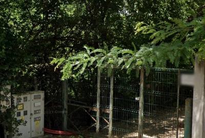 Teren Intravilan langa Parcul Mogosoaia pretabil pentru dezvoltare imobiliara - 4