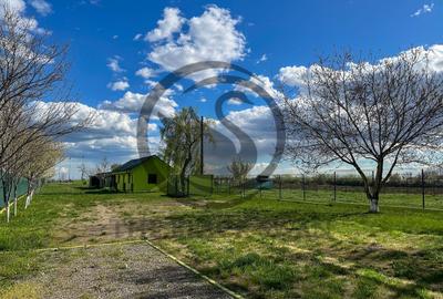 Cladire de birouri de inchirat | 500 mpu | Ploiesti | Comision 0% - 19