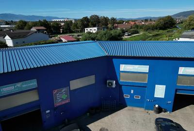 Teren 3079 mp+ service auto+ spalatorie+ locuinta | Oportunitate dezvoltare - 6