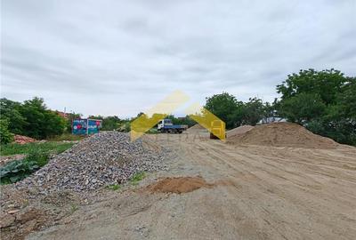 Teren intravilan 2,000 mp de vanzare Vladimirescu - 4
