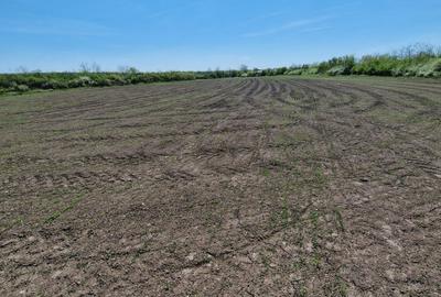 Peris langa raul Ialomita teren 10250 mp intravilan deschidere 46 ml - 1