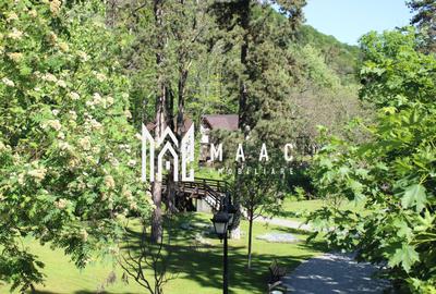 Investitie I Restaurant I Parc Izvor Caciulata - 32