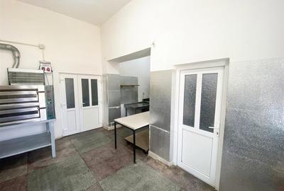 RECO spatiu comercial 257mp Salonta - 8