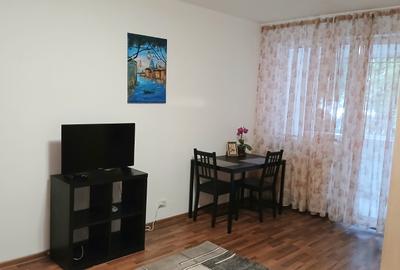 Dristor, garsoniera la parter, metrou 1 minut, mobilata, utilata - 10