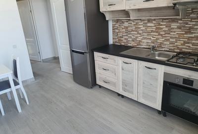 Penthouse situat in zona Popa Sapca, terasa - 5