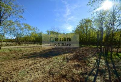 Snagov Ciofliceni Mânastire- Teren 1432 mp, d 60 m, curent gaze asfalt - 1