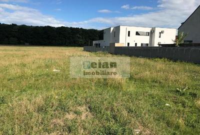 Voluntari - Matei Millo Padure teren 490 mp, d-22, curent - 2