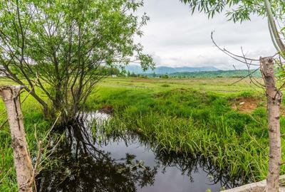 Teren Bran -Sohodol, Strada La mesteceni, 6900mp - 13