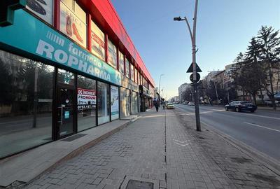 Orizont - spatiu comercial stradal 87mp - 5
