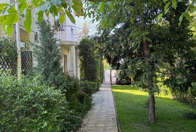 Zona Ghencea Sos Alexandriei Domeniu privat 2090mp cu piscina - 10