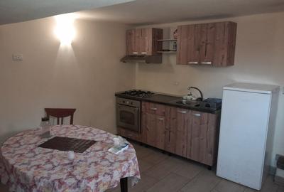 Apartament cu trei camere  in vila  ,Busteni - 7