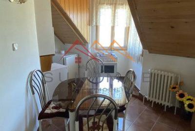 Vila de vanzare, teren 3100 mp, 7 camere, 6 grupuri sanitare, 3 CT, an 1997 - 32