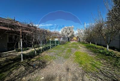 Casă de de vânzare Tartasesti - 7