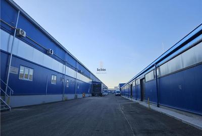 Spatiu Industrial - 2500  mp - Productie - Depozitare - 11