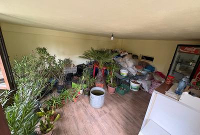 Casă de vânzare în zona centrală a orașului Bistrița – teren 1000 mp - 11