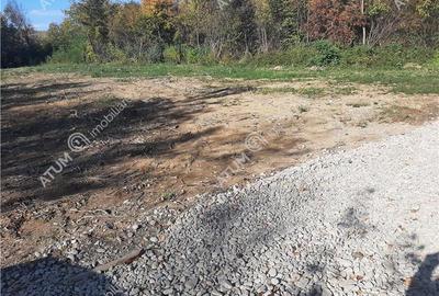 Teren intravilan de vanzare pe Valea Avrigului in suprafata de 1800 mp - 1