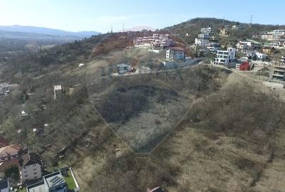 Teren 6309mp cu panoramă superbă asupra orașului – Uliului, Grigorescu - 3