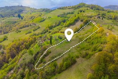 Teren agricol extravilan de 18537 mp, în Poiana Mărului